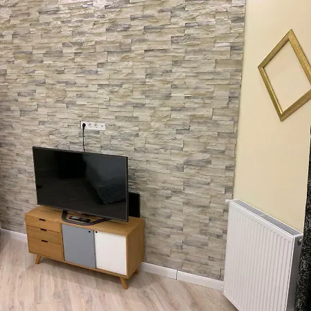 公寓 Budapest Central Apartment